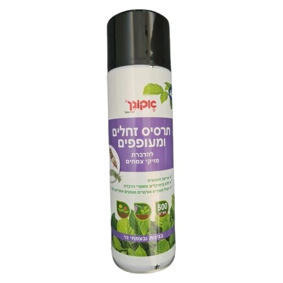 תמונה ממוזערת 1