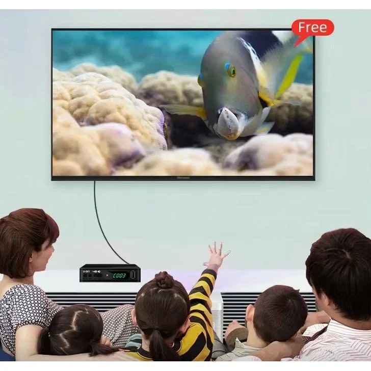 תמונת מוצר 3