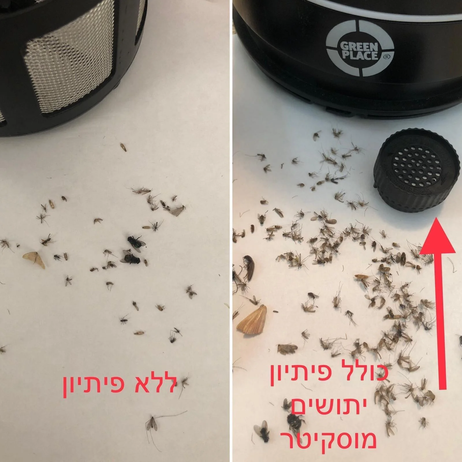 תמונת מוצר 2